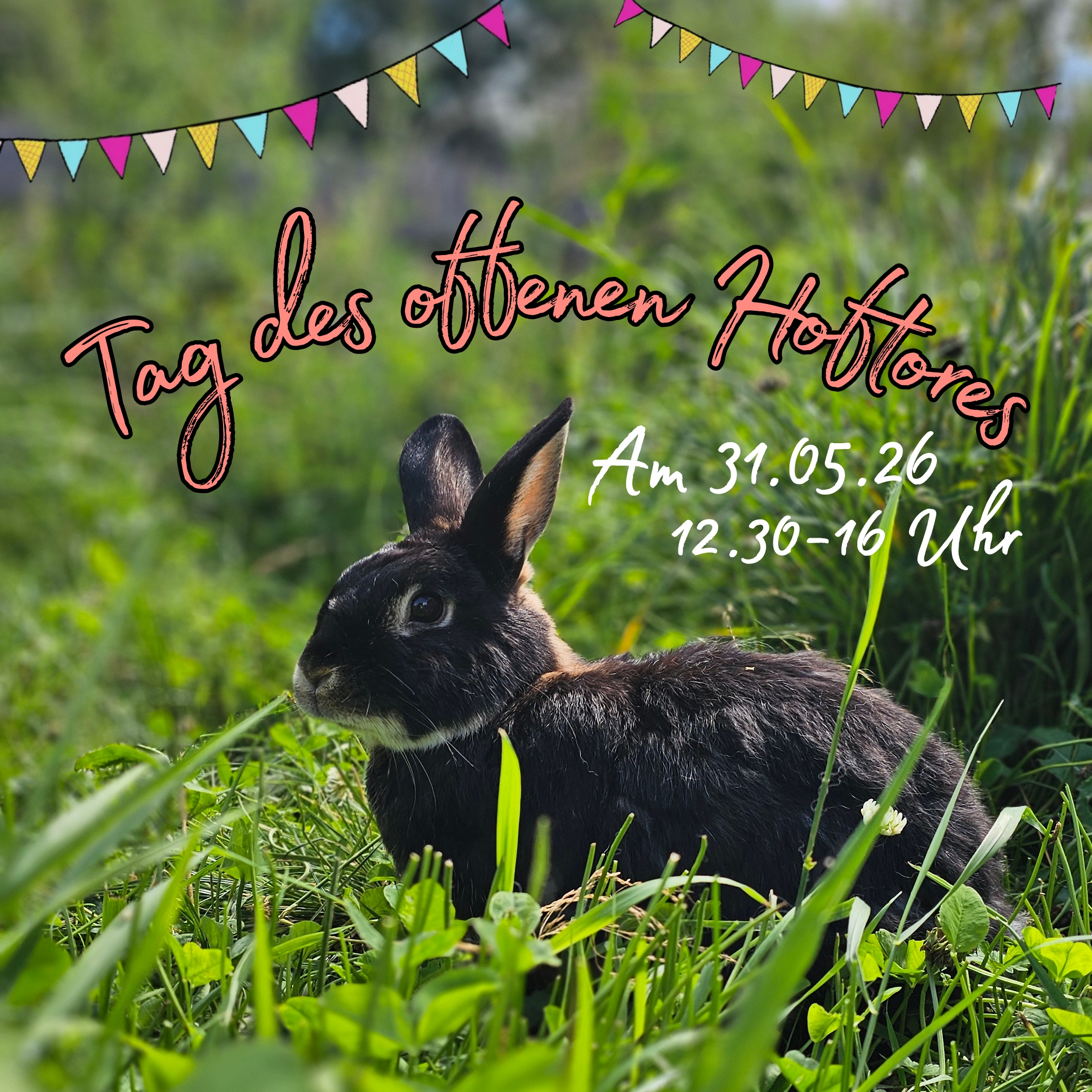 Picsart_26-03-18_10-26-28-170