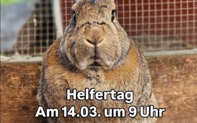 Helfertag am 14.03.2026