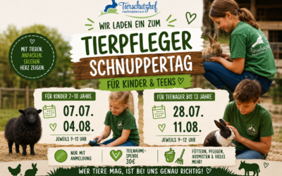 Tierpfleger Schnuppertage Sommerferien