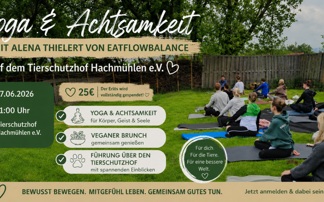 Yoga und veganer Brunch